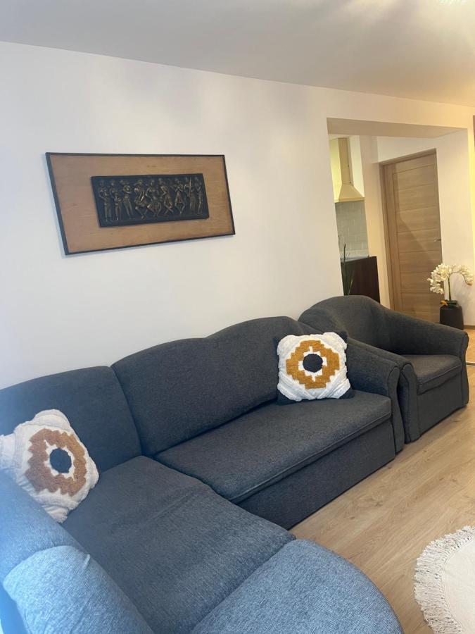 Roman Residence Apartment Borşa Εξωτερικό φωτογραφία