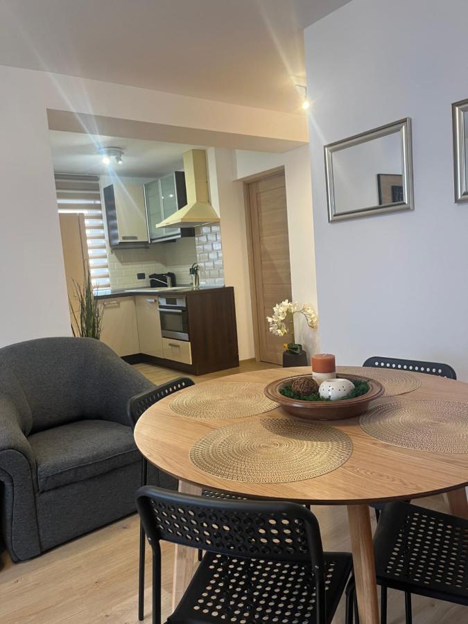 Roman Residence Apartment Borşa Εξωτερικό φωτογραφία