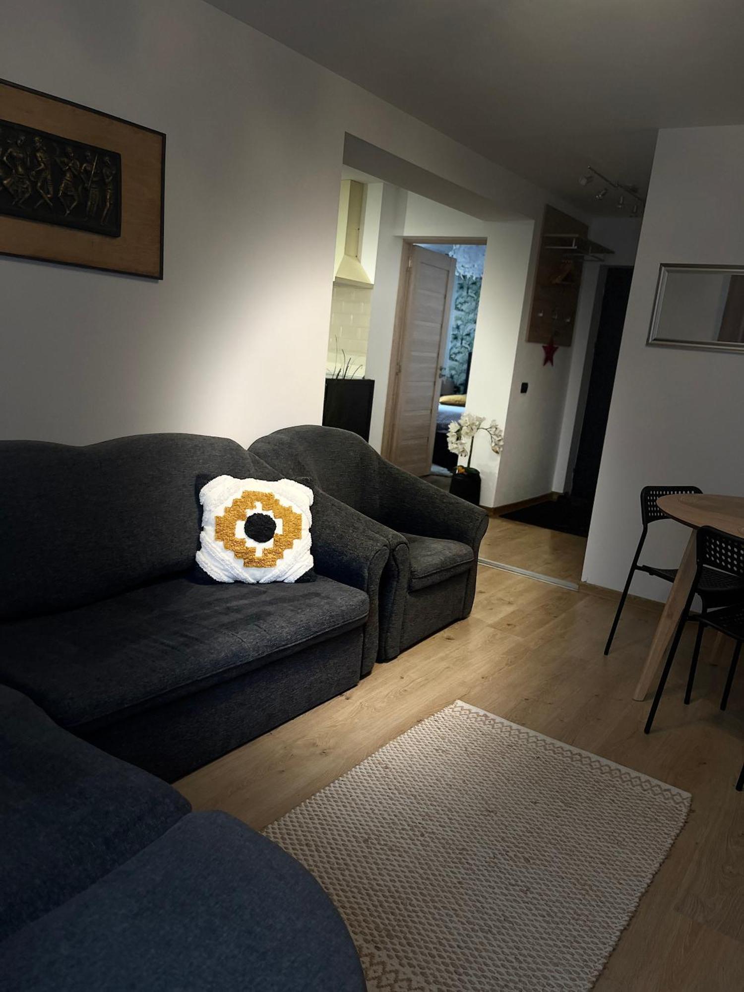 Roman Residence Apartment Borşa Εξωτερικό φωτογραφία
