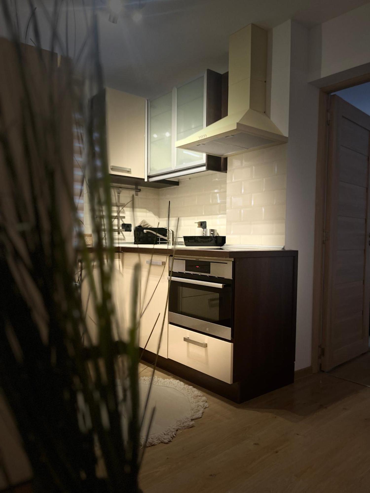Roman Residence Apartment Borşa Εξωτερικό φωτογραφία
