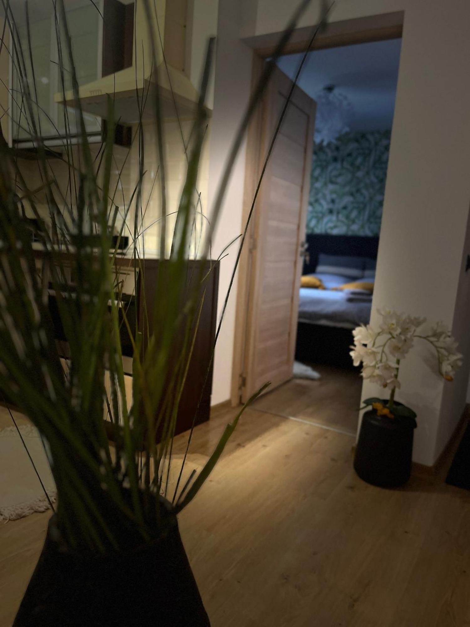 Roman Residence Apartment Borşa Εξωτερικό φωτογραφία