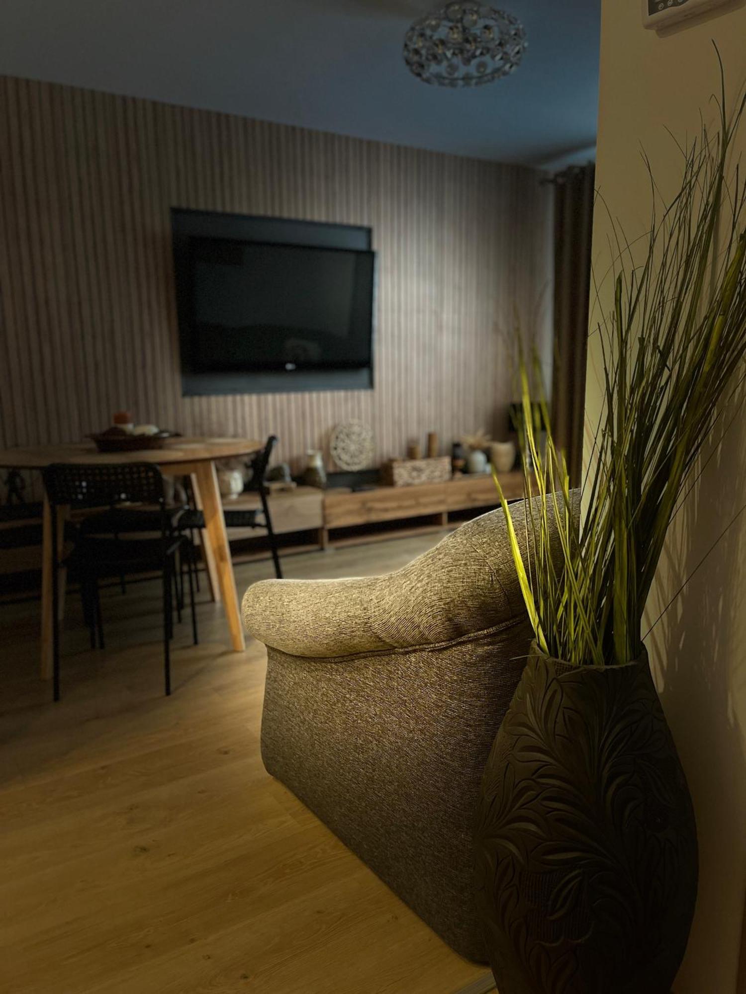 Roman Residence Apartment Borşa Εξωτερικό φωτογραφία